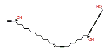 Triangulyne E